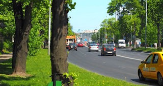 Посадка деревьев и кустарников в Пыти-Яхах — стоимость от 1221 руб.